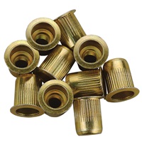 5/16"-18 Zinc-Plated Steel Rivet Nuts - 10Pk